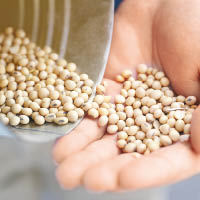 中國恢復向美國採購大豆。