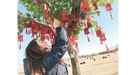 中國<br>民眾在祈福樹上掛上新年心願牌。（中新社圖片）