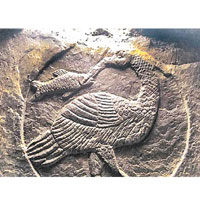 石刻包括有雀鳥和魚等雕刻。