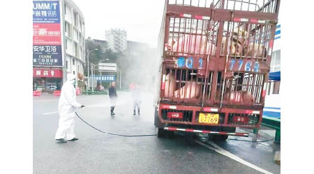 防護人員為運送豬隻的貨車消毒。