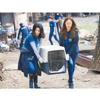 朴素妍（左）與成員一同抬走獲救的狗。（互聯網圖片）