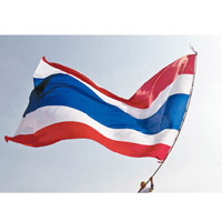 泰國國旗與暹羅鬥魚的顏色分布相似。