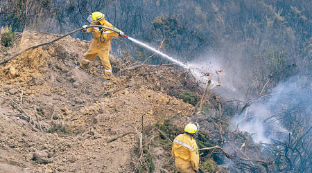 南島山火情況已大為改善，消防員忙於撲滅火種。（美聯社圖片）