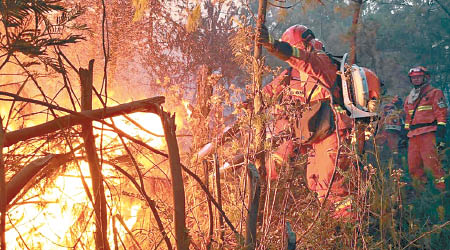 雲南出動大批消防員撲救山火。（互聯網圖片）