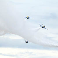 海軍藍天使特技飛行表演隊
