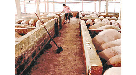 國家發改委為養豬場提供補助。