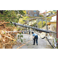 鐮倉市有電線杆倒塌，一名警員到場視察。
