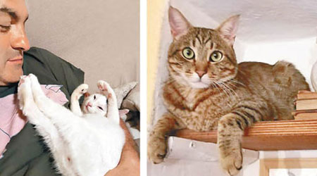 左、右圖：天災猝至，料不到助意國夫婦脫困的竟是兩隻愛貓。