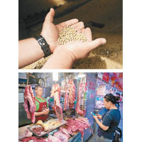 中國宣布豁免對美國豬肉及大豆徵報復性關稅。