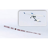 塔萊爾莫曾租下小型飛機（圖右）掛上巨型廣告尋狗。