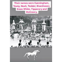 王室公開拉車八匹灰馬的名字。