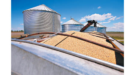 美媒指中國企業仍繼續向美國採購大豆。