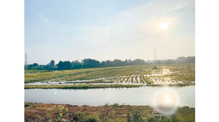 鄱陽縣大量農田被淹浸。