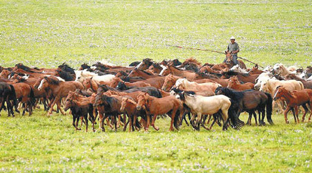 草原牧民以放牧維生。