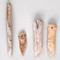 遺址的出土文物有動物骨骼、陶片、骨器及大量石器。