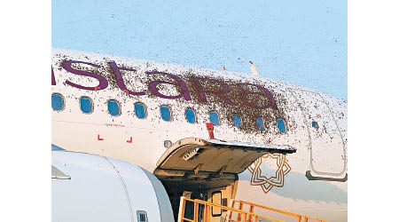 蜂群遮蓋飛機上文字。