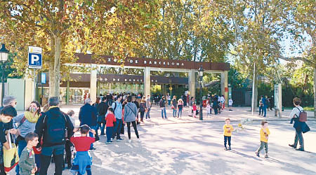 巴塞隆拿動物園有獅子染疫。