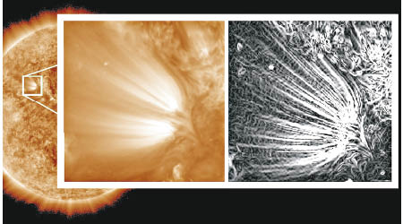 經尖端技術處理後的圖片可見，太陽表面有許多羽狀體。