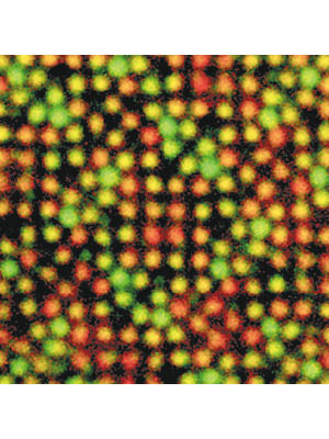 原子在顯微鏡下呈現不同顏色。