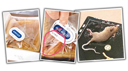 麵包袋內殘留老鼠糞便（左、中圖），打開後更有老鼠跳出（右圖）。