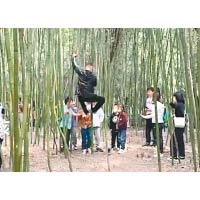 破壞竹林：家長帶頭攀爬竹子。