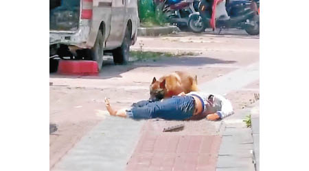 內地流浪狗問題嚴重，江蘇省一名男子遭惡犬撕咬。