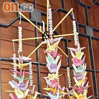 日本支持者摺了二千多隻紙鶴祝福哥哥。	（資料圖片）
