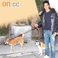 吳彥祖日前於西貢住所附近放狗，表示將往內地拍戲，故出發前特多抽時間陪愛犬。