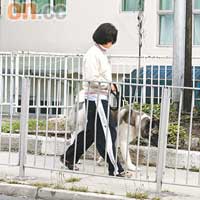 軒仔的工人拖着Kenny的愛犬「飯團」散步。