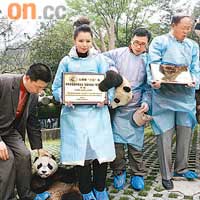 除認養熊貓外，徐若瑄今次還要宣傳關愛動物的訊息。
