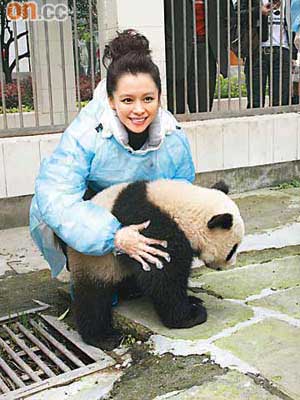 徐若瑄抱着熊貓BB，盡顯「母愛」。