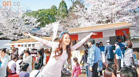 陳嘉容大讚日本櫻花漂亮。