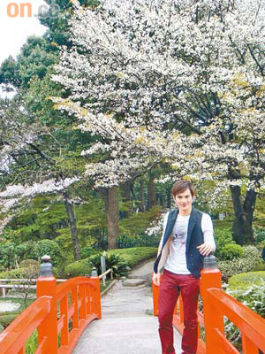 王梓軒到日本小休數日，欣賞櫻花盛開。