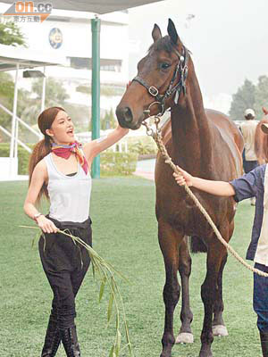 Janice Man安撫發老脾的馬兒，鎮定非常。