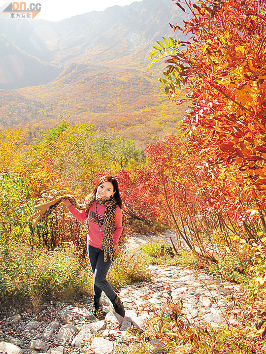 Rachel專程造訪立山黑部紅葉靚景。