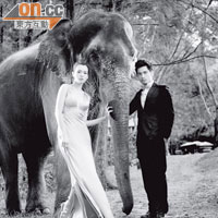 黃文迪為未來老婆預備了多隻猛獸拍結婚照。