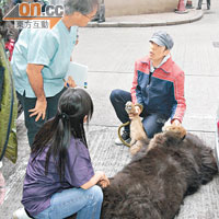 「寶帝」身形巨大，獸醫（左）和姑娘惟有到診所外的地上為牠看病。