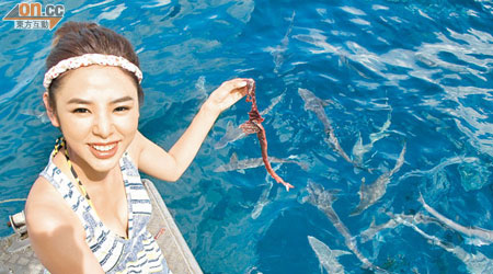 譚凱琪坐在船邊餵鯊魚，見到牠們游來游去都心驚驚。