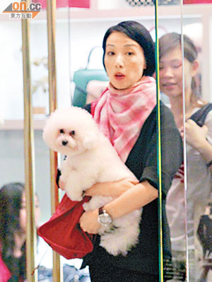 抱着愛犬的江美儀與友人行中環名店。