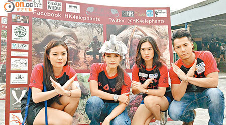 （左起）林慧倩、郭秀雲、陳文婷及白健恩提倡勿為象牙濫殺大象。