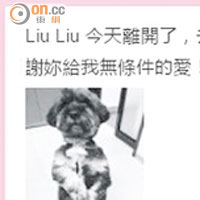宣萱在微博留言悼念因肝癌離世的愛犬LiuLiu。
