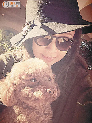 章子怡抱着狗狗的合照，即惹來網友揣測。
