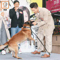 黃宗澤不停撩狗狗玩，非常有愛心。