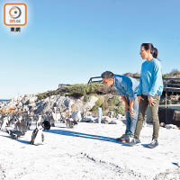 楊紫瓊與霆鋒忙裏偷閒，於南非的海邊近觀企鵝。