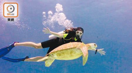 海龜甚懂「好客之道」，帶張曦雯參觀海底世界。