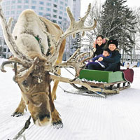 在大風雪前，岑潔儀一家三口坐鹿車賞雪。