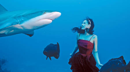 余曉彤很開心與鯊魚近距離接觸。