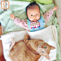 「小貓奴」陳禛當年與貓貓初邂逅。