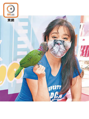 郭秀雲為了讓鸚鵡不怕人，故經常帶牠外出。