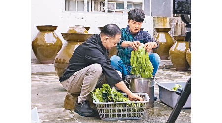 蕭正楠（右）跟師傅學醃酸菜。